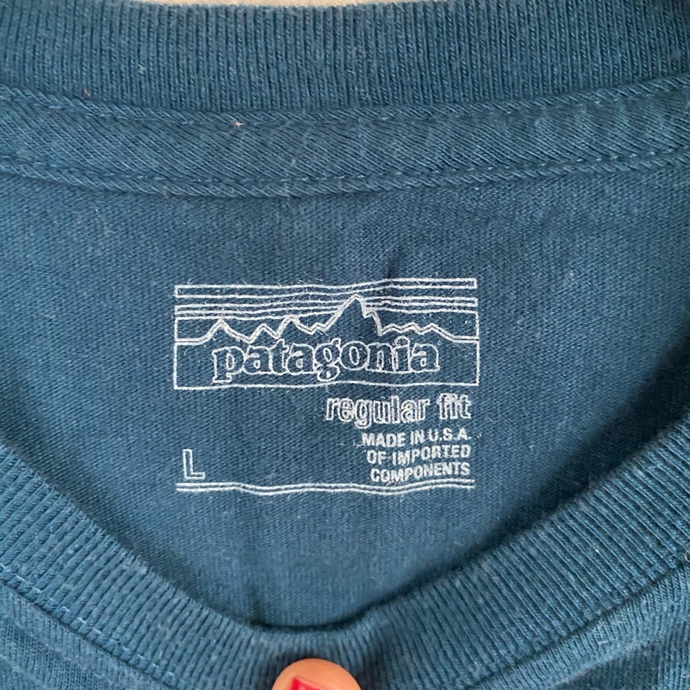 Men’s Patagonia t-shirt